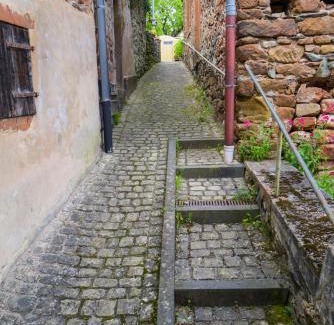 Saarburg Casa | Das Kartenhaus