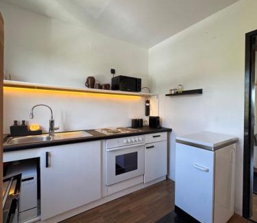 Kohfidisch Apartamento | Das Sonnenhut Kellerstöckl am Csaterberg