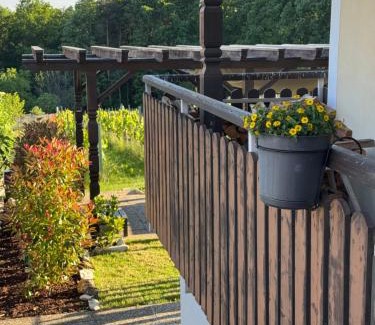 Kohfidisch Apartamento | Das Sonnenhut Kellerstöckl am Csaterberg