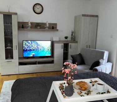 Sremska Mitrovica Apartamento | Das Studio