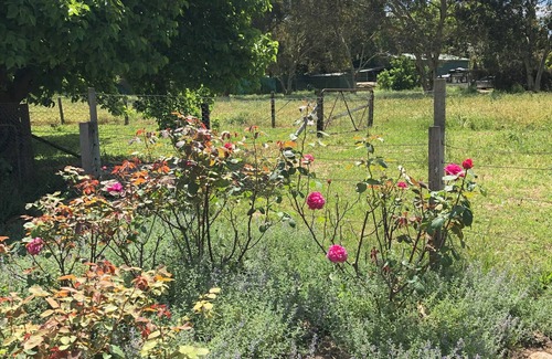 Penola Cabaña | Davidson's Cottage Penola: Open fire, AC, Wifi, SMART TV, Garden Pet Friendly