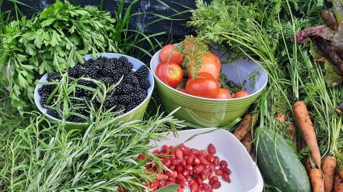 Lipowy Most Casa | Dawno Temu - Agroturystyka Premium
