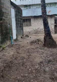 Jambiani Cabina | Daya House karibu