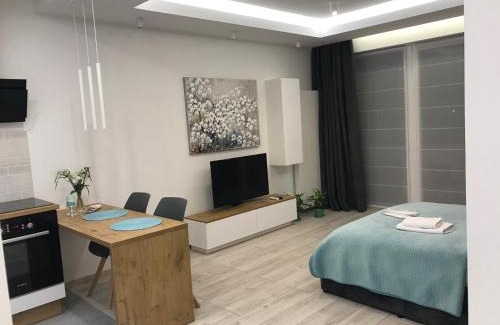 West Pomeranian Voivodeship Apartamento | DbD Apartament Gray Turkus Studio