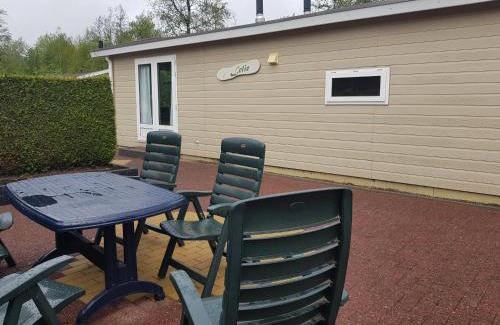 Nunspeet Chalet De Esquí | De Bijsselse Enk, Lelie