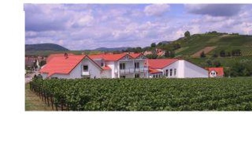 Ilbesheim Cama Y Desayuno | Apartamento de 2 camas "2a" - Weingut-Gästehaus Hans Dieter Bosch