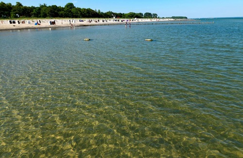 Am Schwarzen Busch Apartamento | Welcome to the app. Seemöwe in direct beach location!