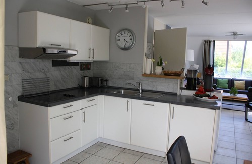 Scharendijke Casa | de Luxe Casa de vacaciones en 5 * parque 700m² jardín Scharendijke Zelanda mar, perro, WiFi