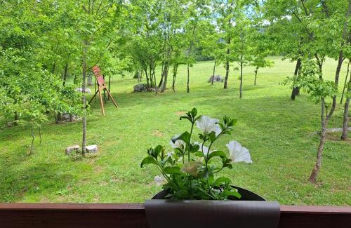 Municipality of Gracac Casa | De Luxe mobilna kuća Kijani, 44m2