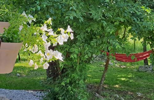 Municipality of Gracac Casa | De Luxe mobilna kuća Kijani, 44m2