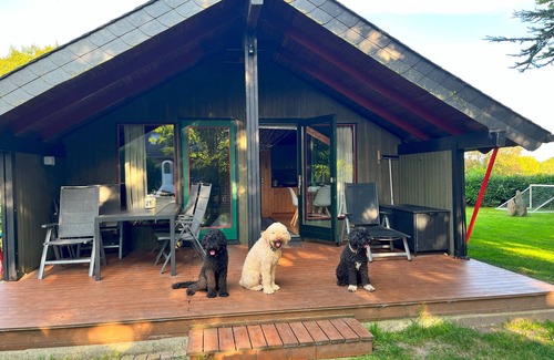 Norgaardholz Casa | Vacation home for 8 guests with 96m² in Steinberg OT Norgaardholz - Baltic Sea (146903)