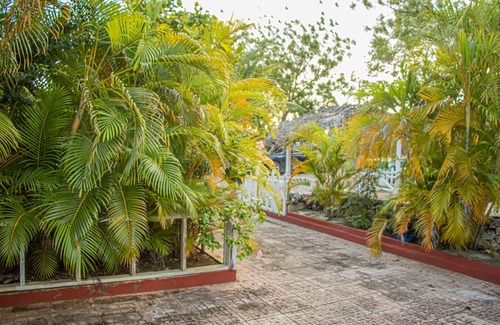 Lacovia Cabaña | Deano's Cottage
