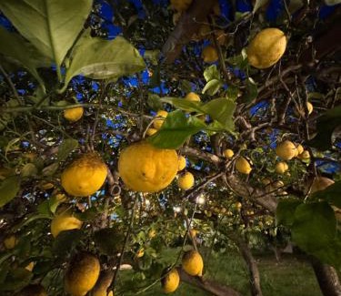 San Cesario di Lecce Cama Y Desayuno | Dear Mary, B&B romantico vicino Lecce nel cuore del Salento