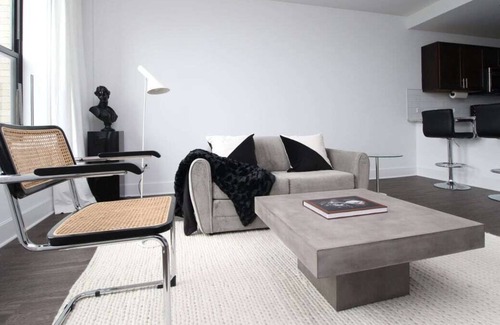 East Hyde Park Apartamento | Debonair HP 1BR with Fast Transit to UChicago