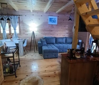Mokra Gora Casa | Dedin Konak