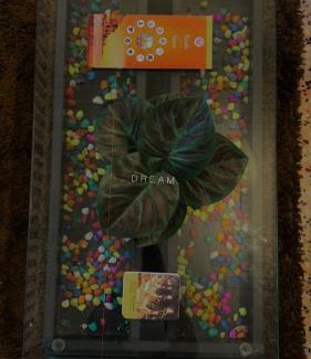 Sigra Casa | DeeHa Niwas - A Banarasi Home