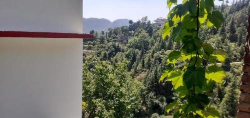 Shoghi Casa | Deep Jyoti Home Stay