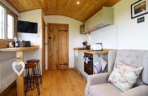 Oswestry Casa | Defaid Cymreig