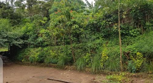 Jinka Casa | Degu Homestay and tours