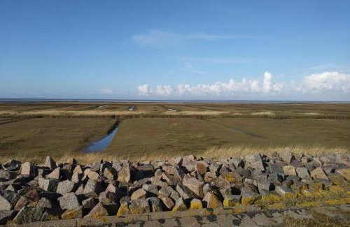 Friedrichskoog-Spitze Apartamento | Deichblick