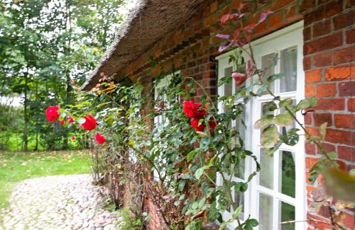 Emmelsbuell-Horsbuell Casa | Deichglück Emmelsbüll-Horsbüll
