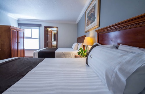 Zona Minerva Hotel | Del Marqués Hotel and Suites