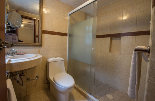 Zona Minerva Hotel | Del Marqués Hotel and Suites