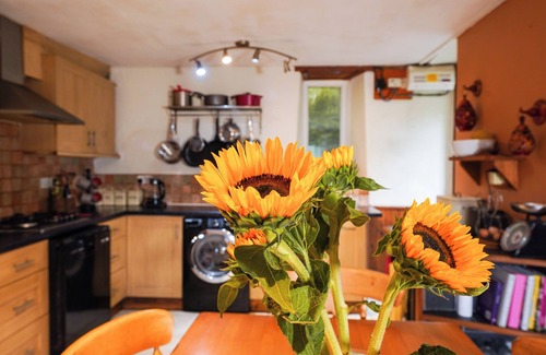 Glandyfi Casa | DELFRYN, GOGINAN, pet friendly, with a garden in Aberystwyth
