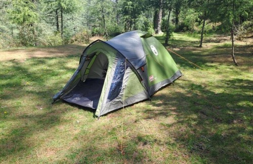 Shimla Alquiler De RV | Delicate camp C