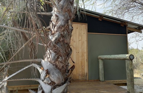 Maun Alquiler De RV | Delightful campsite in nature between Maun & Moremi