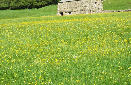 Worton Apartamento | Delightful private guest suite in the heart of Swaledale