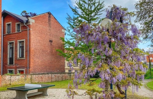 Saverne Apartamento | DELUX L'EVASION balcon-3min du center Château