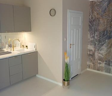 Ciechanow Apartamento | Deluxe Apartament z ogródkiem na wyłączność