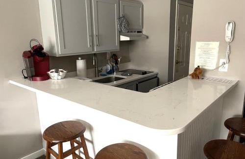 Hancock Apartamento | Deluxe Ski On Off 1BR Suite Sleeps 4 on Jiminy Mtn