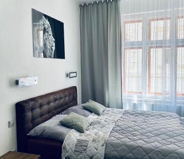 Trebic Cama Y Desayuno | Demaris