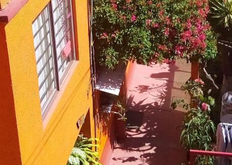 Santa Catarina Apartamento | Depa 1 habitación equipado coyoacan