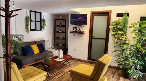 Zacatecas Centro Apartamento | depa #5 recién remodelado en planta alta