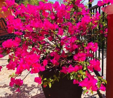 San Cristóbal de las Casas Apartamento | DEPARTAMENTO VILLA NEEK