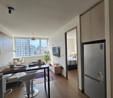 Concepcion Apartamento | Departamento 1 Céntrico Concepción