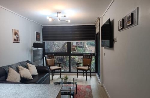 Valdivia Apartamento | Departamento 57m2 Costanera Valdivia, Parking Privado Bodega