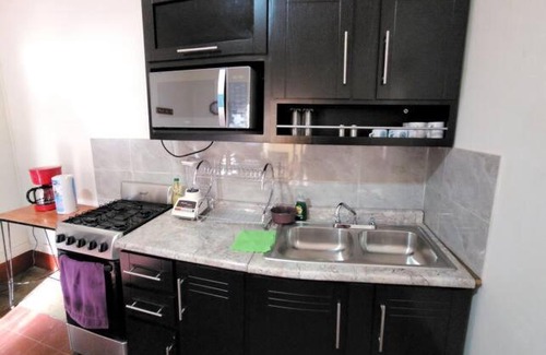 Centro Apartamento | Departamento Arista
