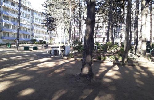 El Tabo Apartamento | Departamento Bosques del Tabo