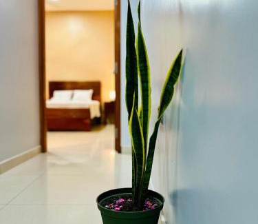 Iquitos Apartamento | Departamento Céntrico en Iquitos - Casa Alemi