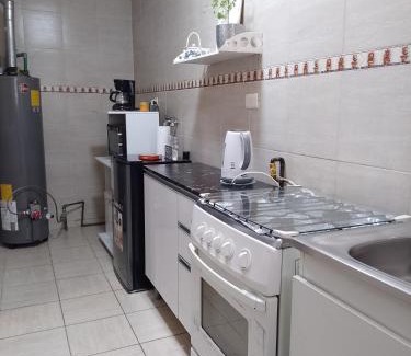 Punta Arenas Apartamento | Departamento Carrera Pinto