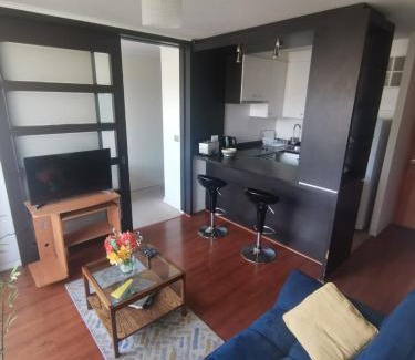 Vina del Mar Apartamento | Departamento central Viña del Mar