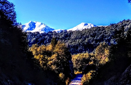Los Ladrillos Apartamento | Departamento de montaña en el río puelo Chile