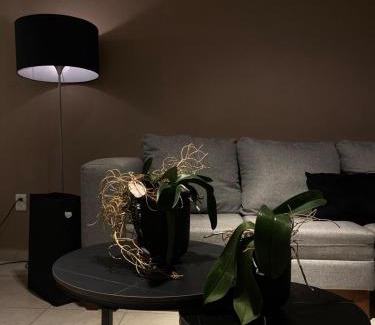Veracruz Apartamento | Departamento en Boca del Rio Ver