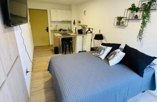 Concepcion Apartamento | Departamento en el centro de la ciudad con patio