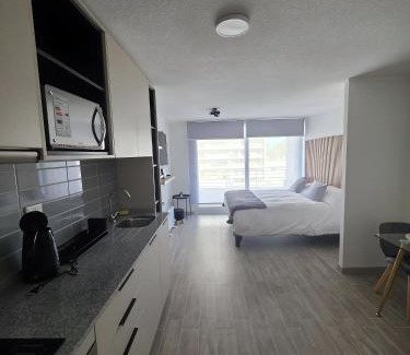Downtown Santiago Apartamento | Departamento en Santiago, Parque O'higgins, Movistar Arena con terraza