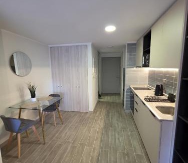 Downtown Santiago Apartamento | Departamento en Santiago, Parque O'higgins, Movistar Arena con terraza